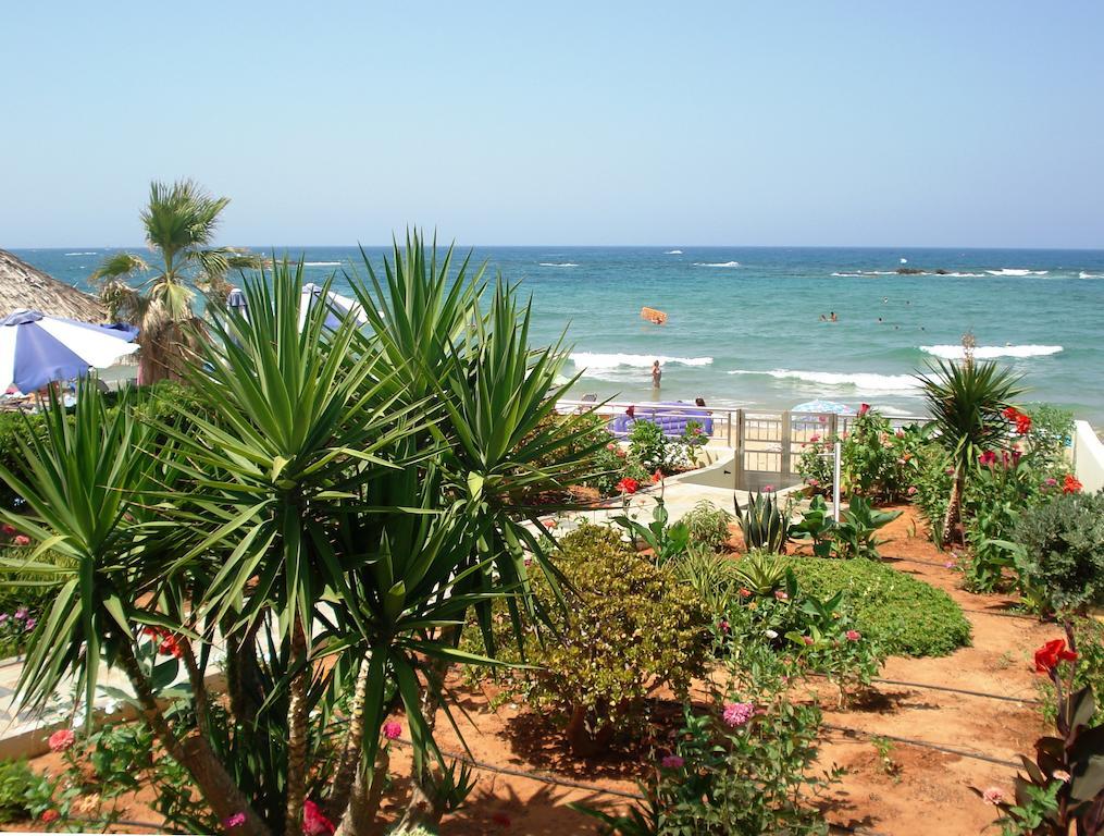 Stalida Seagull Studios מראה חיצוני תמונה