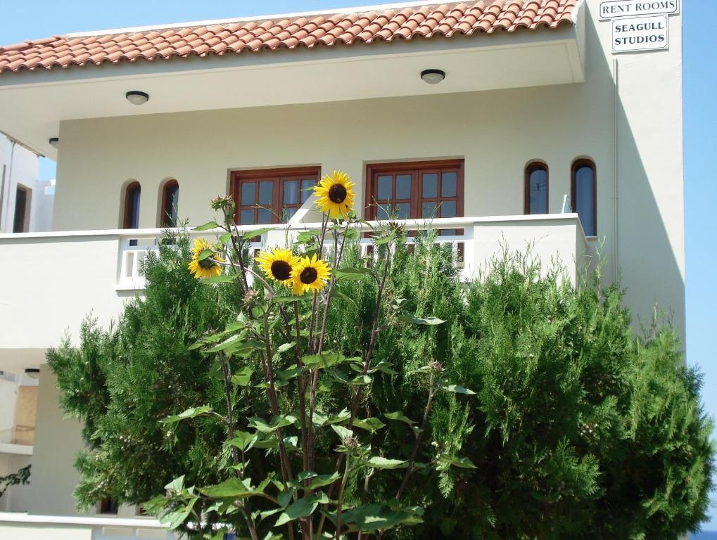 Stalida Seagull Studios מראה חיצוני תמונה