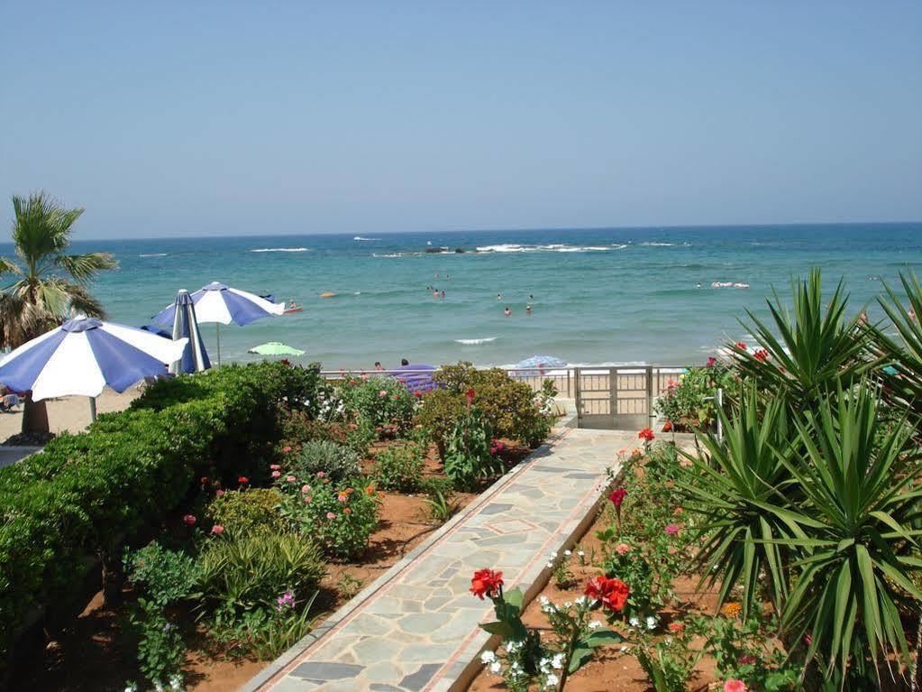 Stalida Seagull Studios מראה חיצוני תמונה
